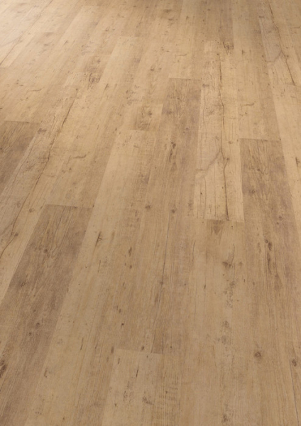 Commercial Shoreline Oak